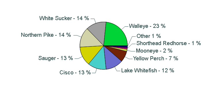 Pie chart showing species catch proportions
