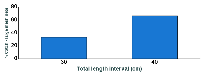 Length distribution chart of Smallmouth Bass caught in large-mesh nets