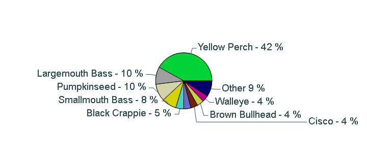 Pie chart showing species catch proportions