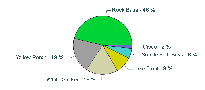 Pie chart showing species catch proportions