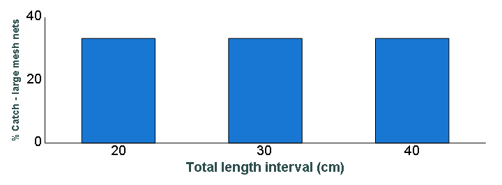 Length distribution chart of Smallmouth Bass caught in large-mesh nets
