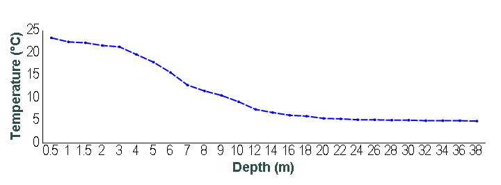 Temperature by depth line graph