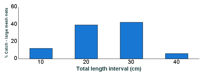 Length distribution chart of Smallmouth Bass caught in large-mesh nets