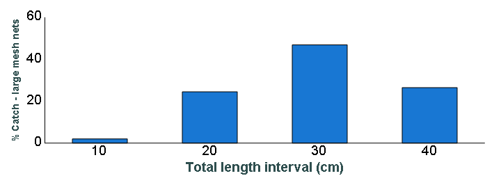 Length distribution chart of Smallmouth Bass caught in large-mesh nets