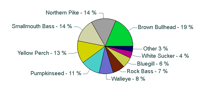 Pie chart showing species catch proportions