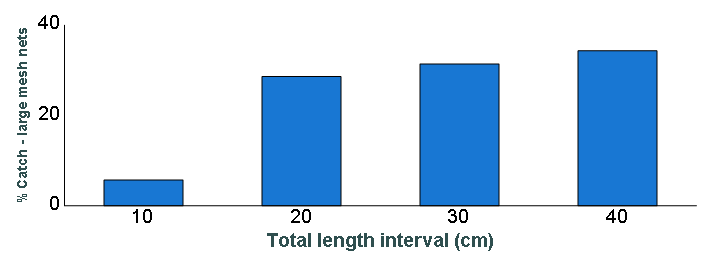 Length distribution chart of Smallmouth Bass caught in large-mesh nets